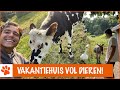 Floris heeft nieuwe buren! | DierenpraatTV