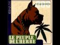 Le Peuple De l'Herbe - Blunted