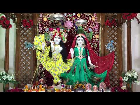 kangal c Main Loko Malamal ho geyi