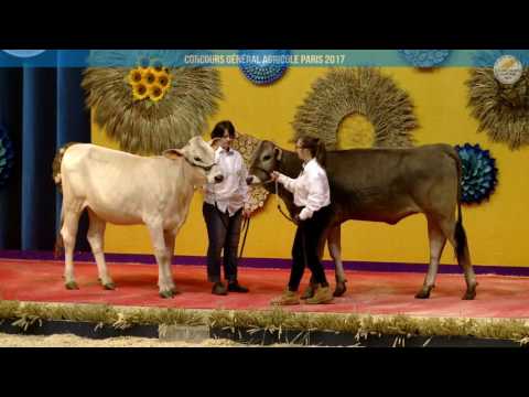 Voir la vidéo : Ring de présentation du 28 février 2017, partie 1