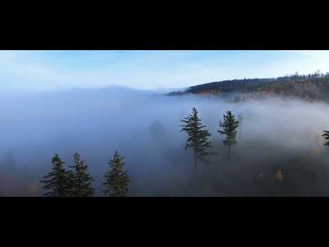 ShataQS - Światło A=432hz  (oficjalne video - official music video)