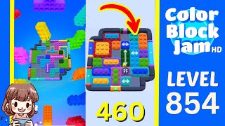 Color Block Jam 第 854 关攻略