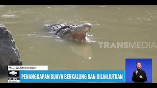 Download lagu Buaya Berkalung Ban Lolos Lagi | REDAKSI SORE (16/02/20) mp3