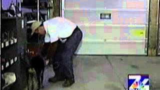 Termite K9 story