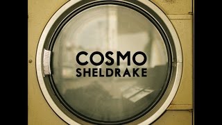 Cosmo Sheldrake - The Moss (Audio)