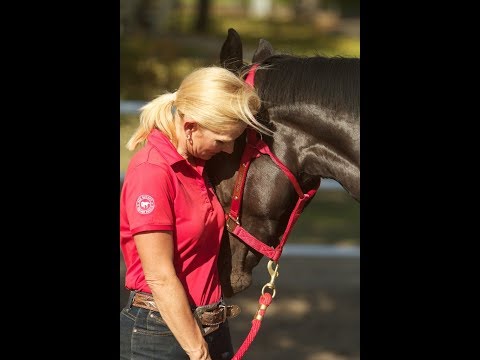 Saving Neglected Horses in Southern California
