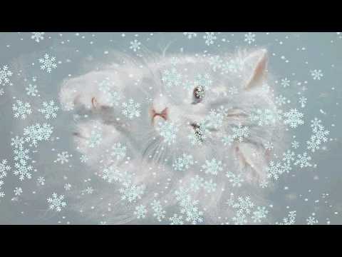 Футаж первый снег котенок ловит лапками снежинки