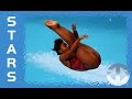 Canadian Diver Jennifer Abel On Trans World Sport