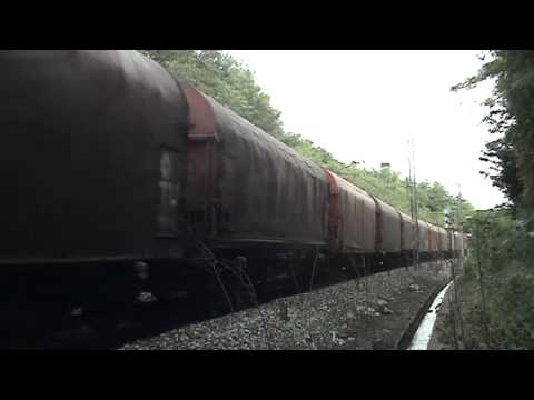 FS E 655 214 cargo Shimmns