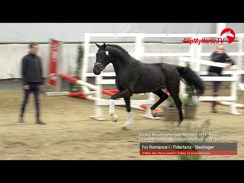 Hengst v. For Romance - Fidertanz - Stedinger