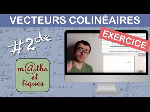 EXERCISE: Demonstrate that two vectors are collinear - Second