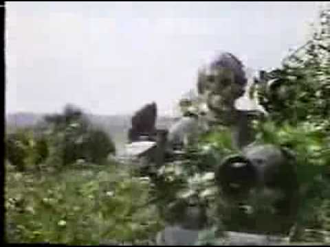 Marder Infantry Fighting Vehicle