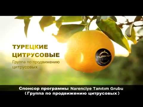 Turkish Citrus for Energy - Турецкие Цитрусовые, Для энергия