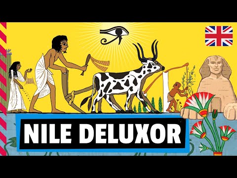 NILE DELUXOR  Board Game - How to play  / Review / Tutorial  (English)