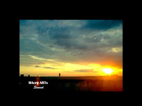MAcro ARTs - Sunset