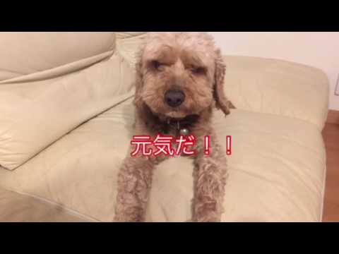会計学科 元気を出せば！ 元気になると思う！ きっといいことがあると！ 木村勝則滋賀県高島市！