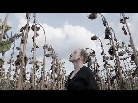 THE HELLFREAKS - PBSS (Official Video) | Napalm Records