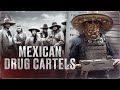 FROM THE SMALL GANGS OF THE 19TH CENTURY TO THE CARTELS OF TODAY - Mexican drug cartels