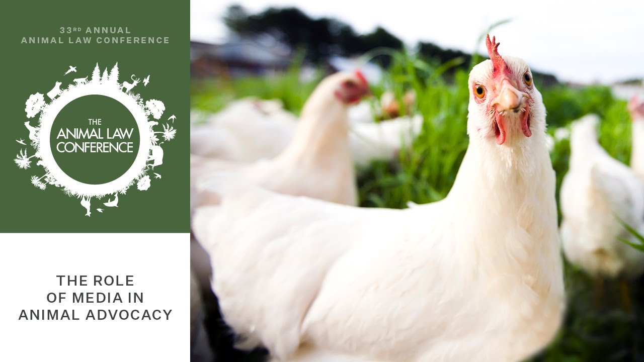 The Role of Media in Animal Advocacy