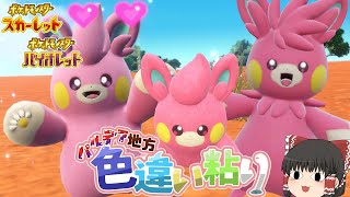 【ポケモンSV】ピンクの色がCute！なパモさん一家の色違い！【ゆっくり実況】
