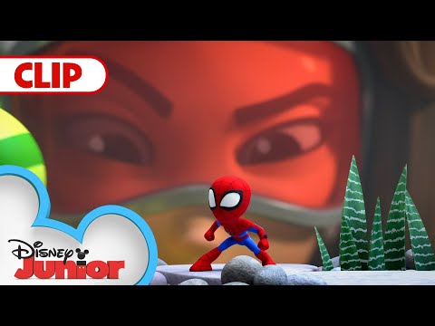 Itsy-Bitsy Spiders | Marvel’s Spidey and his Amazing Friends | @disneyjunior