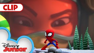 Download lagu Itsy-Bitsy Spiders | Marvel’s Spidey and his Amazing Friends | @disneyjunior mp3