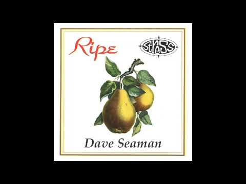 Dave Seaman @ Ripe - Stress Records Tour - 12/04/1996