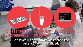 Miniatura do vídeo