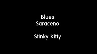 Blues Saraceno - Stinky Kitty(cover)