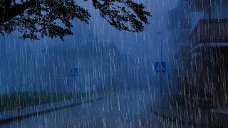 Chuva para Dormir e Relaxar Profundamente - Barulho de Chuva Forte, Vento e Trovão à Noite #65 ASMR