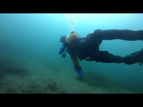 Skeleton? For real, in Lake Ontario ?! 🤔                                O