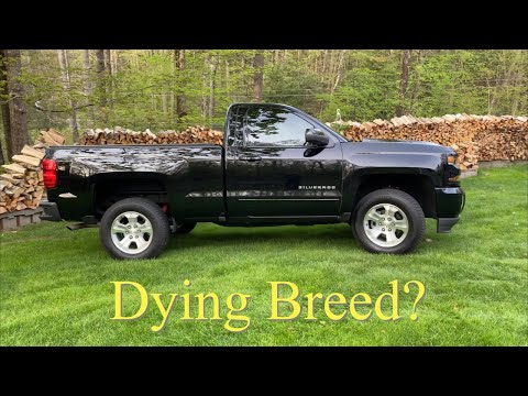 Regular Cab Short Bed Trucks DISCONTINUED???