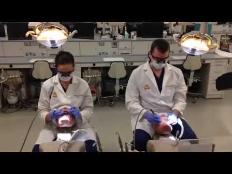 download lagu mp3 mp4 I Love Dentistry, download lagu I Love Dentistry gratis, unduh video klip I Love Dentistry