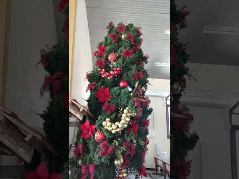 PARÓQUIA DIVINO ESPIRITO SANTO BARRA VELHA SANTA CATARINA BRASIL