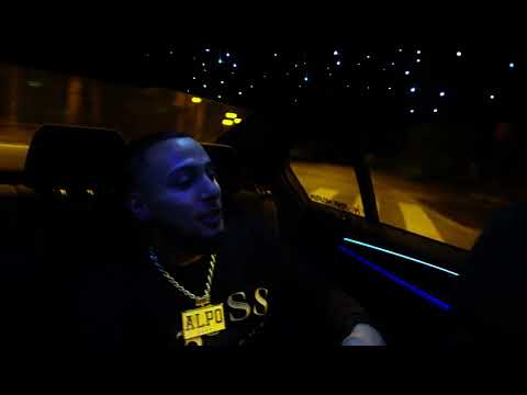 ALPO - AIM FOR THE STARS