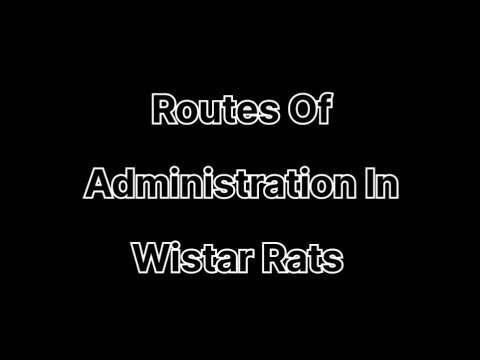 Preclinical Routes Of Administration In Wistar Rats