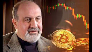 Bitcoin Attacked By Nassim Talebs Black Paper