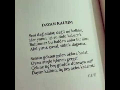 Gardenya Texting 6 Wattpad