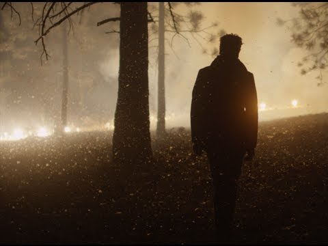 Bonobo - First Fires (feat. Grey Reverend) (Official Video)