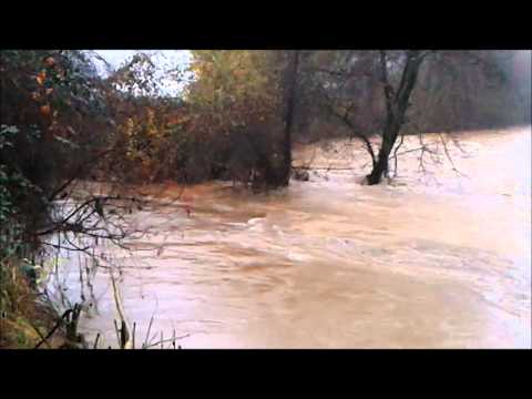 BRANDIZZO (TO): torrente Malone e scolmatore del Bendola - 1 dicembre 2014