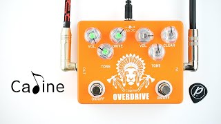 Video thumbnail for Caline CP-70 High Chief Overdrive Boost by Pedal of the Day