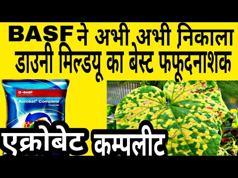 Basf Acrobat Fungicide Specification And Features