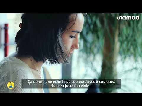 Une carte interactive pour visualiser la qualité de l'air sur l'île de Nantes