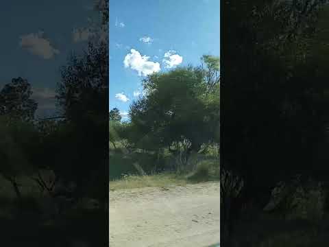 mi video mostrando la colonia rosell y rius del departamento de durazno muchas gracias 😘  😊