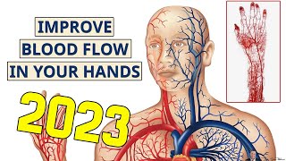 How To Increase Blood Flow To Hands And Fingers