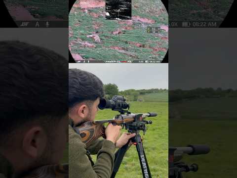 The Silent Assassin: .22LR Rabbit Hunting Using Subsonics