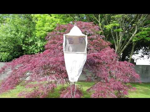 link para vídeo do objeto do mês de maio