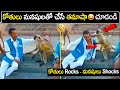 కోతితో తమాషాలు చేసాడు దాంతో ఇతని డిప�