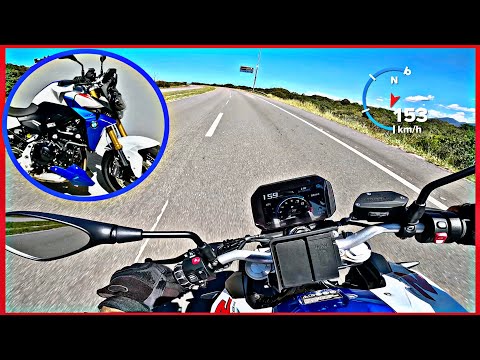 MEU TOP SPEED NOVA BMW F 900R 2023