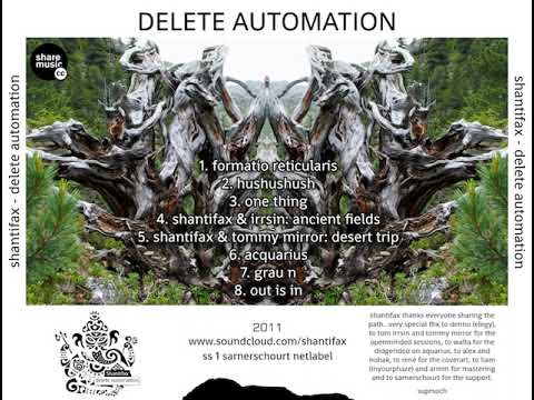 08 Shantifax - Out is In